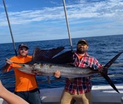 Atlantic Sailfish Caught in North Myrtle Beach